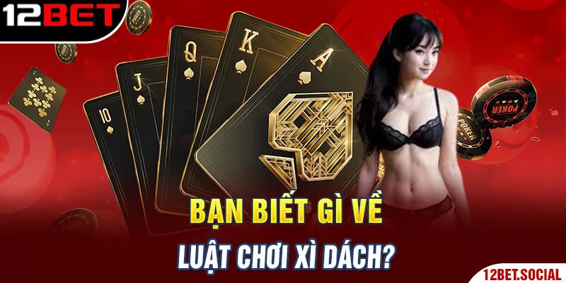 Bạn biết gì về luật chơi Xì dách?