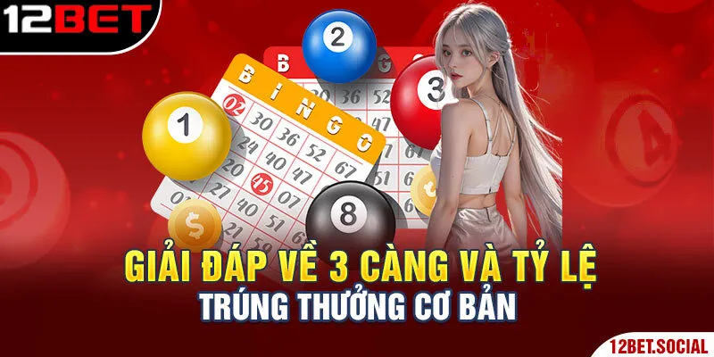 Giải đáp về 3 càng và tỷ lệ trúng thưởng cơ bản