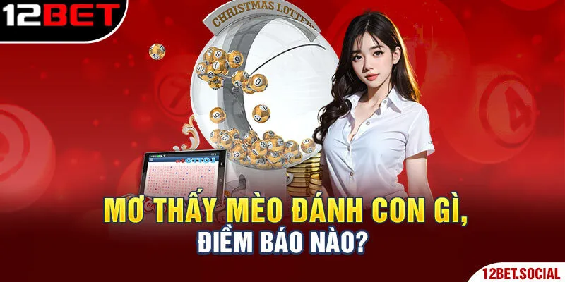 Mơ thấy mèo đánh con gì, điềm báo nào?