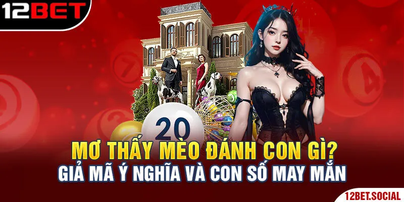 Mơ Thấy Mèo Đánh Con Gì? Giả Mã Ý Nghĩa Và Con Số May Mắn