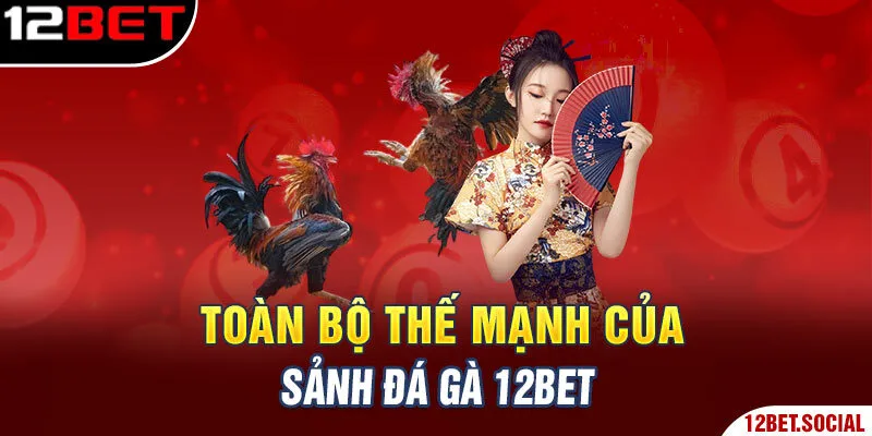 Toàn bộ thế mạnh của sảnh đá gà 12BET