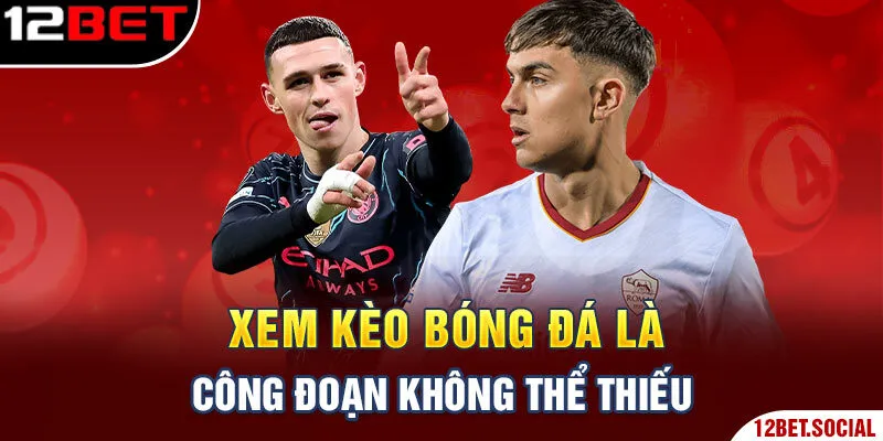 Xem kèo bóng đá là công đoạn không thể thiếu